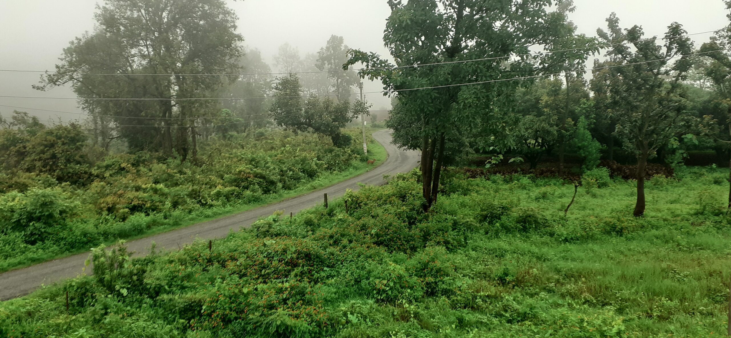 wonders of nature