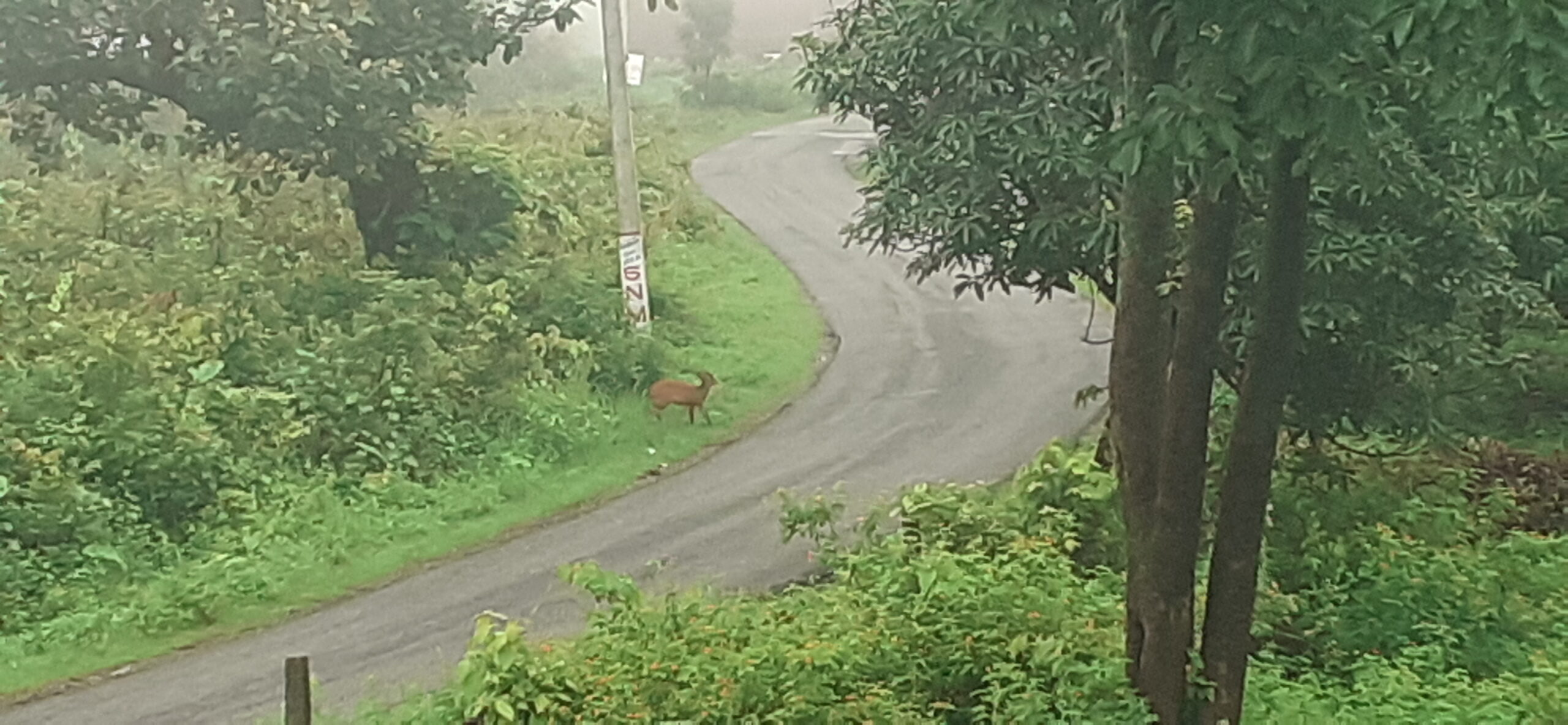 wonders of nature